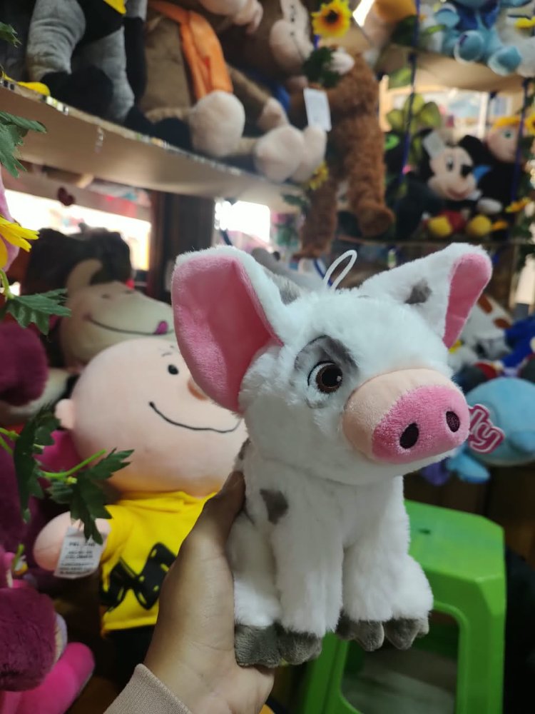 cerdito de moana