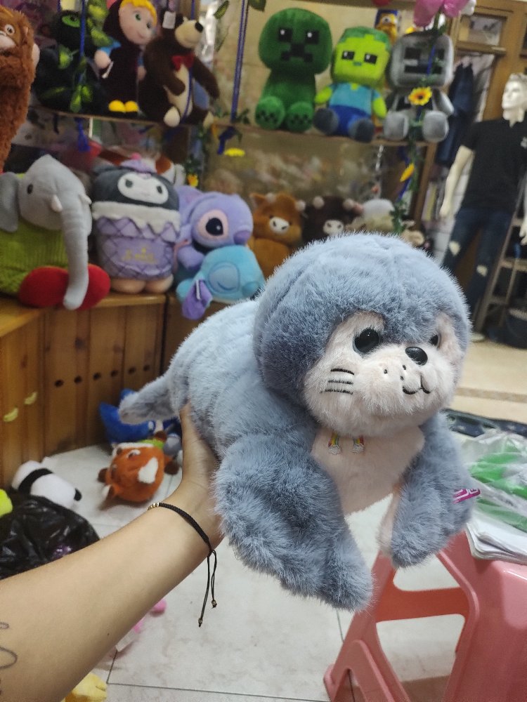 foca acostada