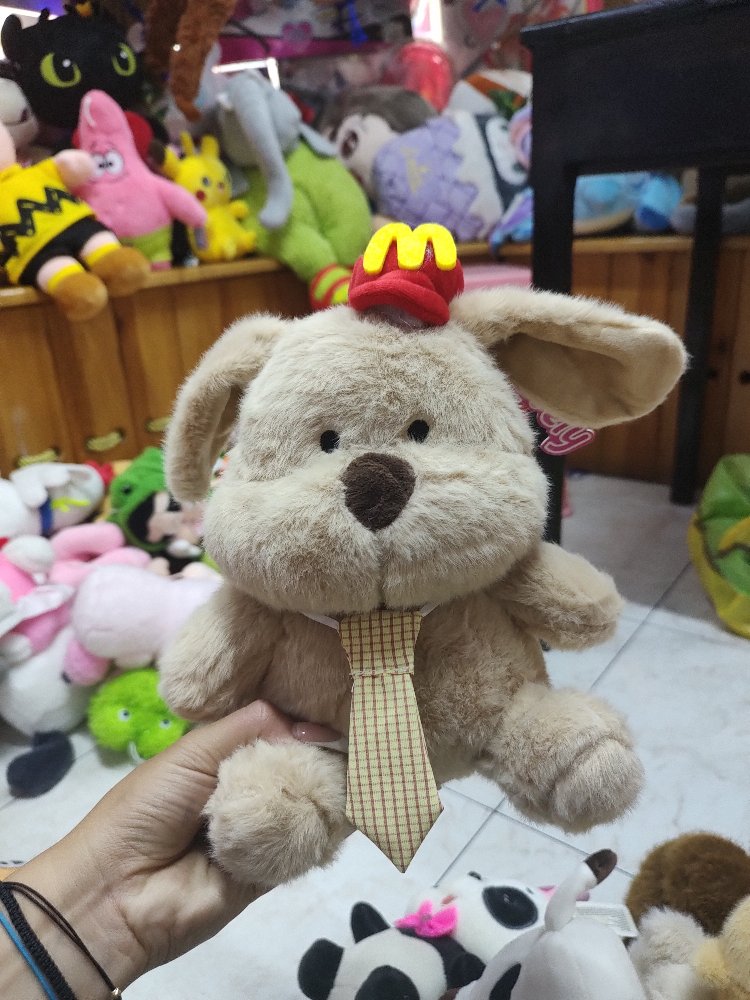 osos macdonal