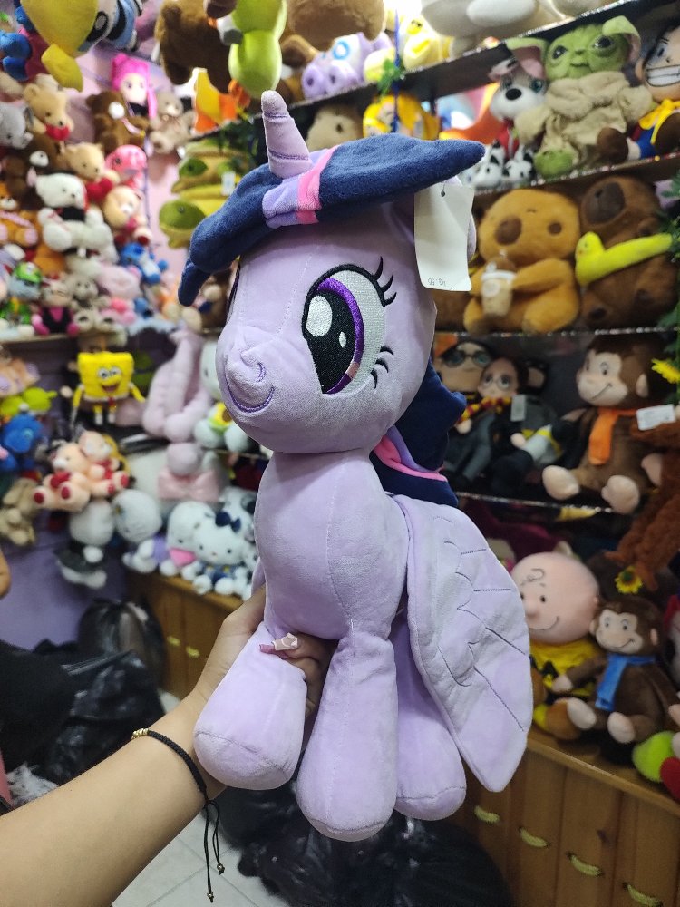 pony