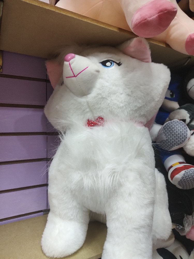 gata marie grande