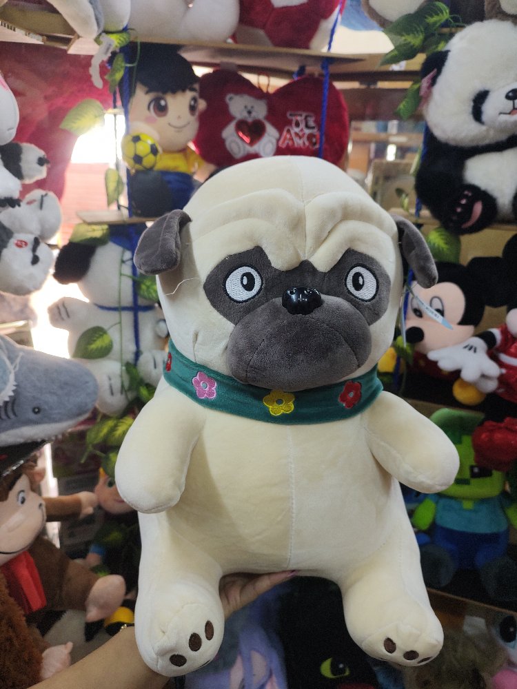 perro boldog chato