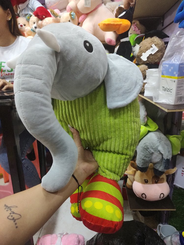 elefante captus