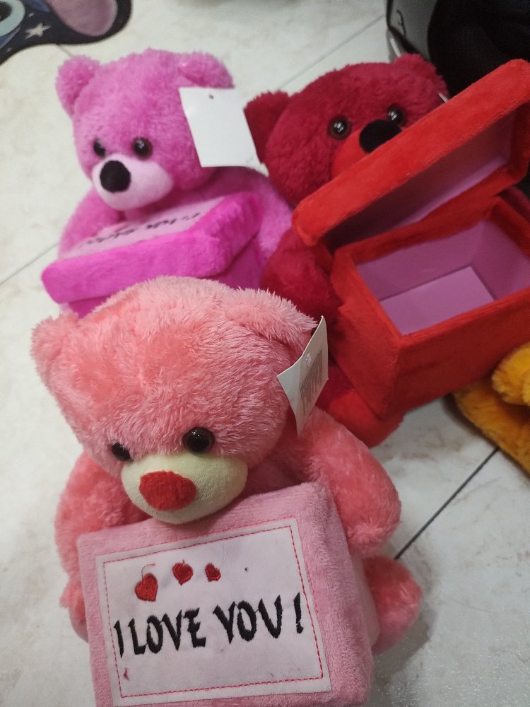 oso de caja pequeno