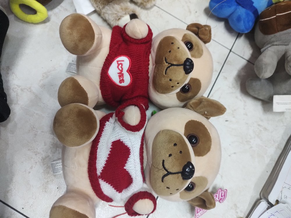PERRO BUZO ANCHETA