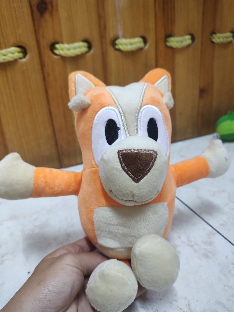 BINGO ANCHETA