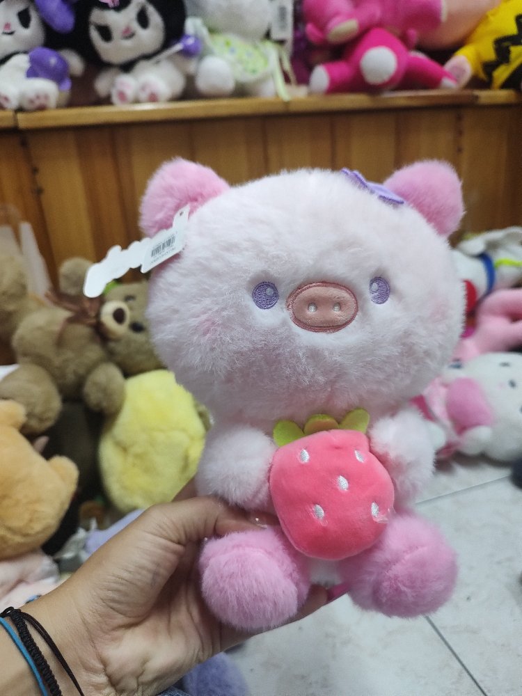 CERDITO FRESA
