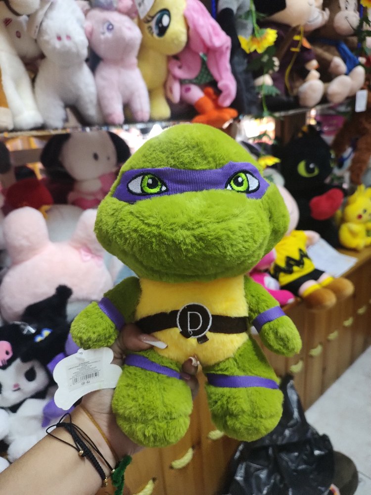 tortuga ninga