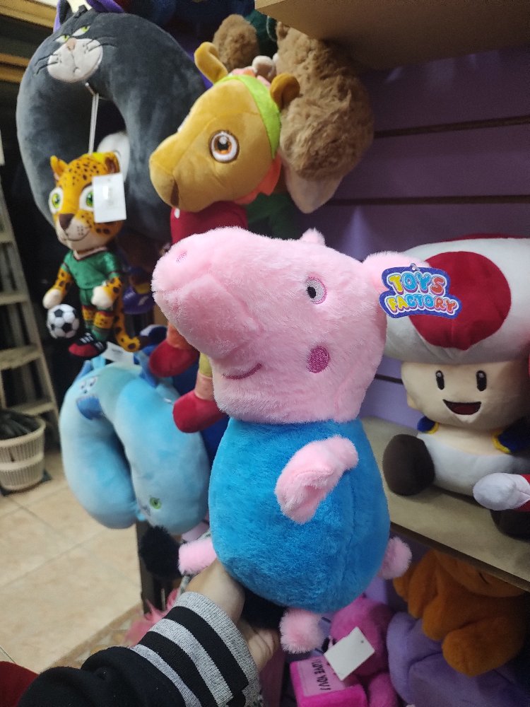 yorsh cerdito