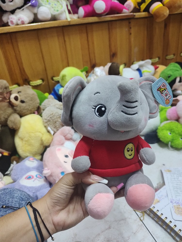 ELEFANTE  BUZO