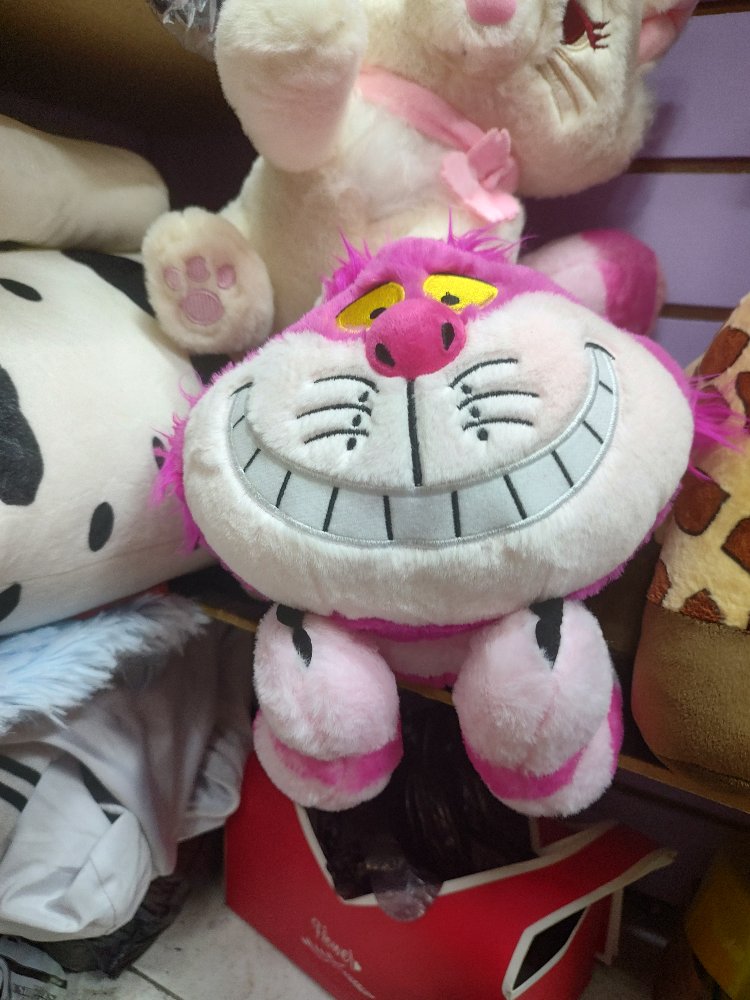 gato risueno