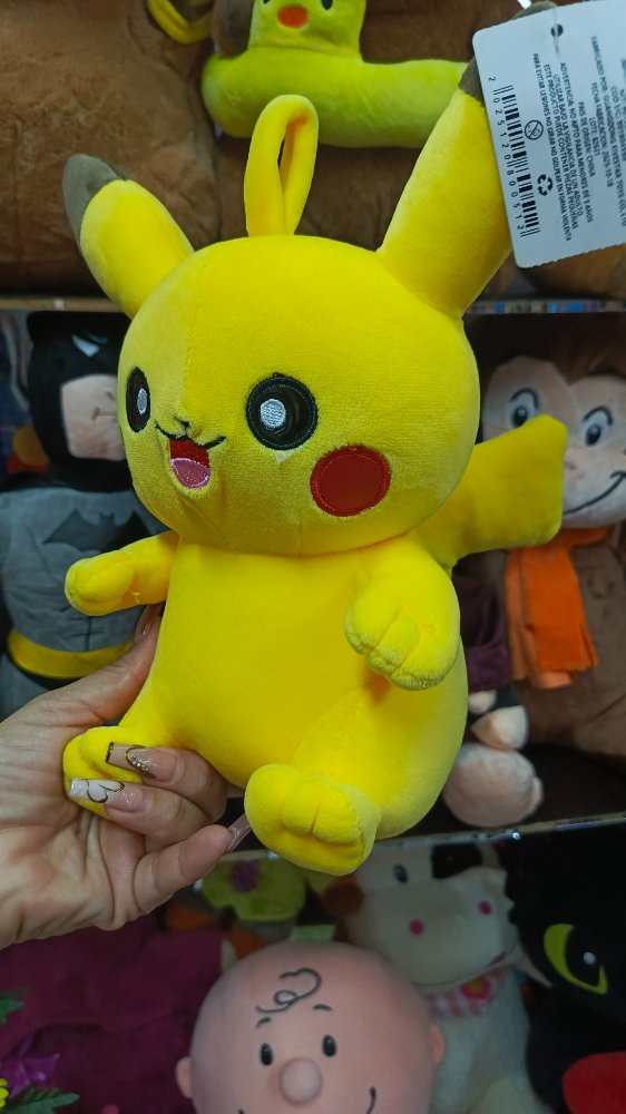 pikachu pequeno