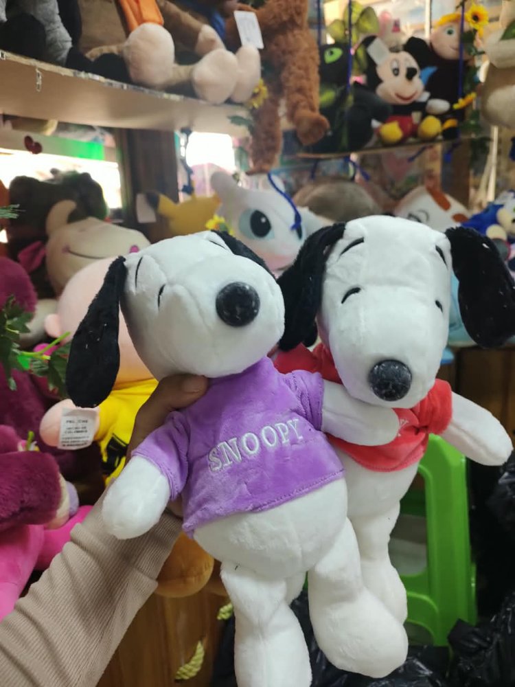 snoopy buso anchetero