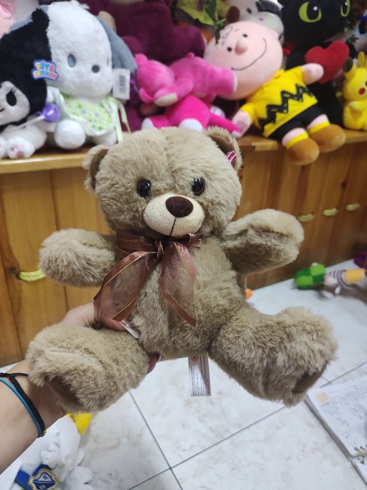 OSO DE LAZO ANCHETA
