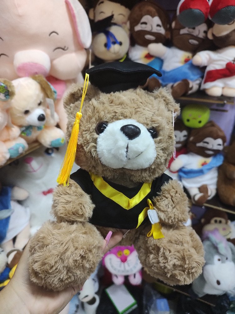 oso graduando peludo