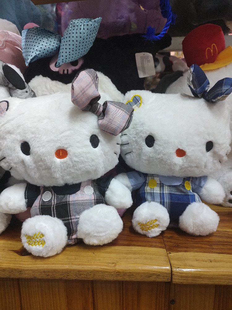 hello kitty de braga