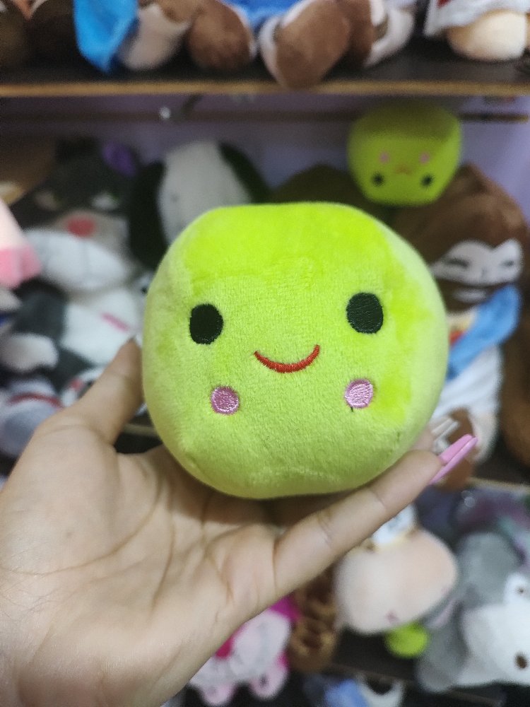 pelota mascota