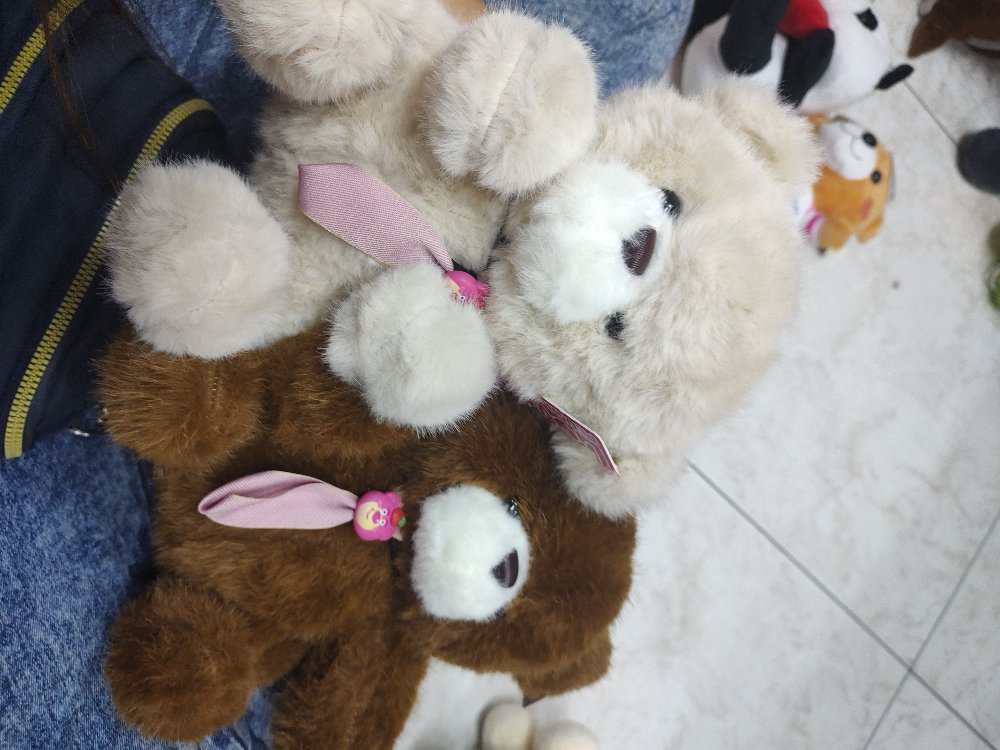 oso de corbata de lopso