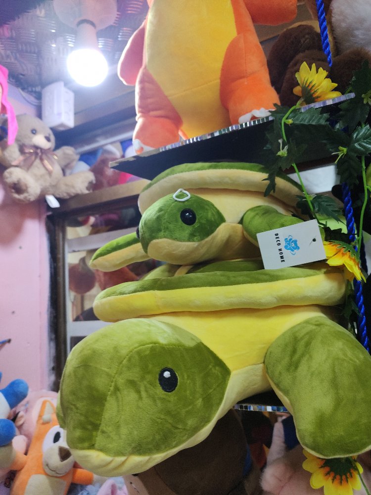 tortugA PEQUENA