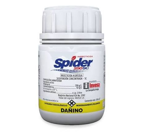 Spider L