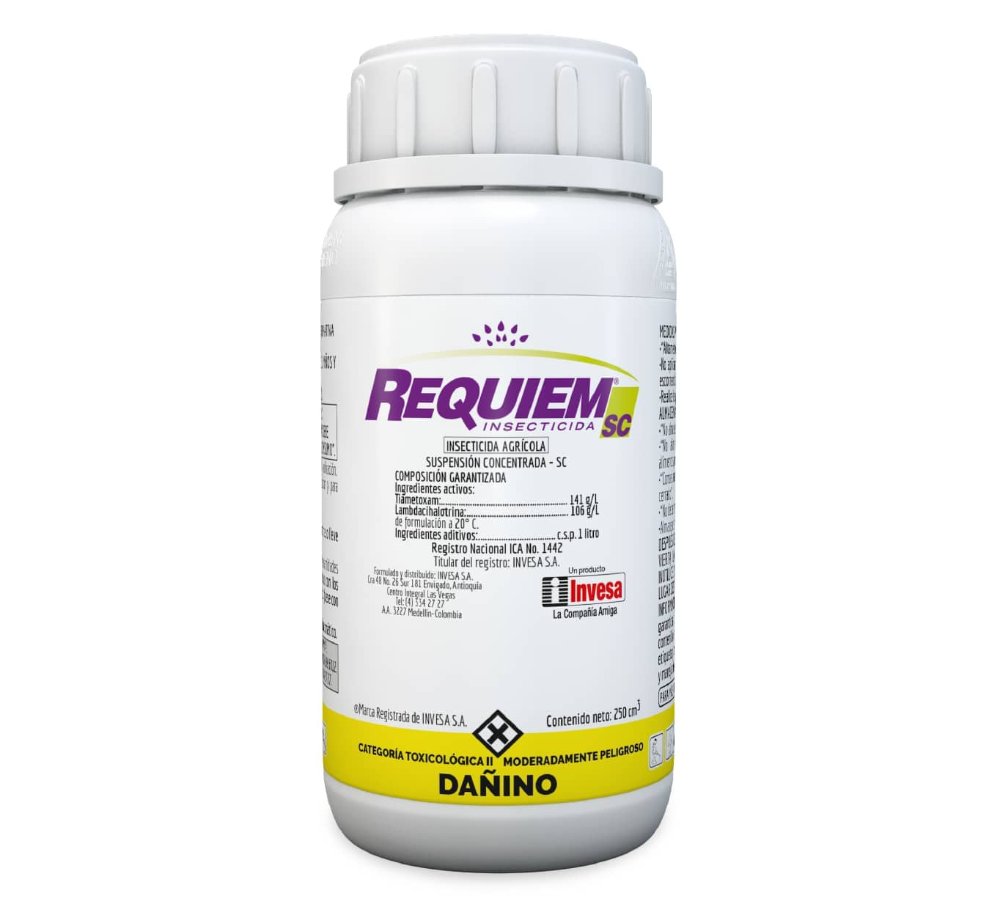 Requiem 250cc