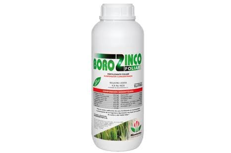 Borozinco
