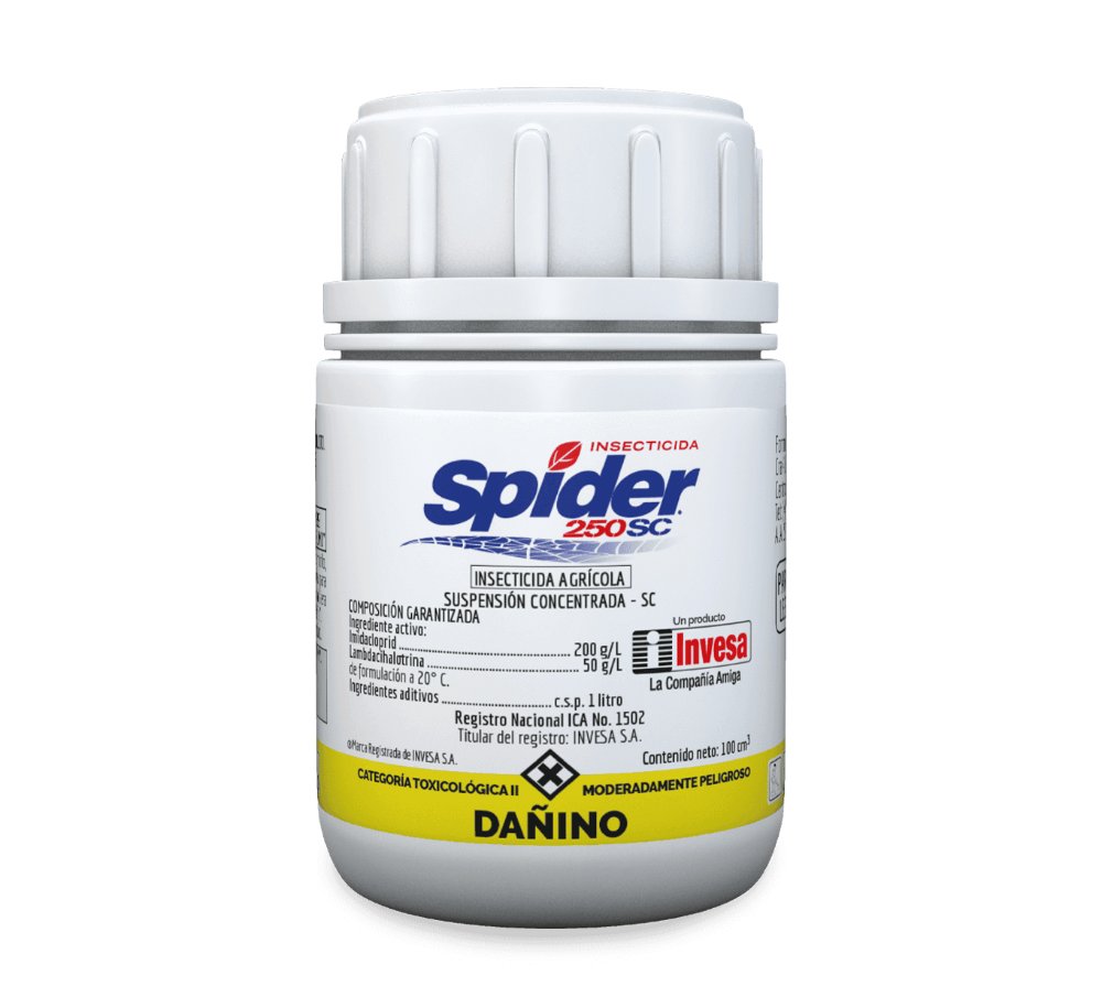 Spiderx100cc