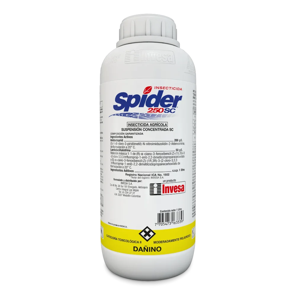 Spider 250 Cc