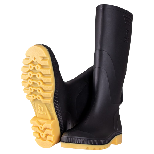 Bota Venus