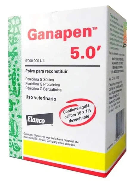 Ganapen 5 M