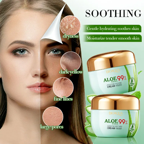 BIOAQUA CREMA FACIAL HIDRATANTE ALOE VERA 50G 14764 X1
