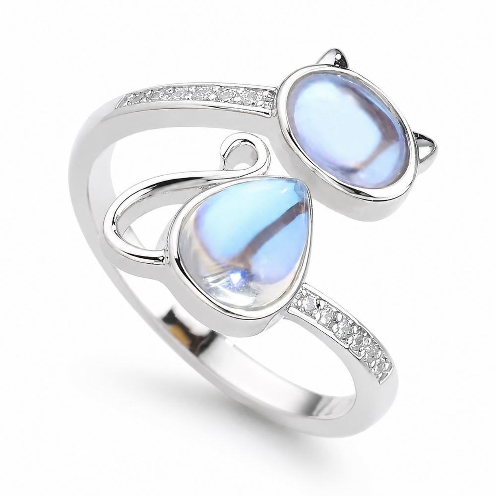 ANILLOS