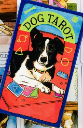 TAROT
