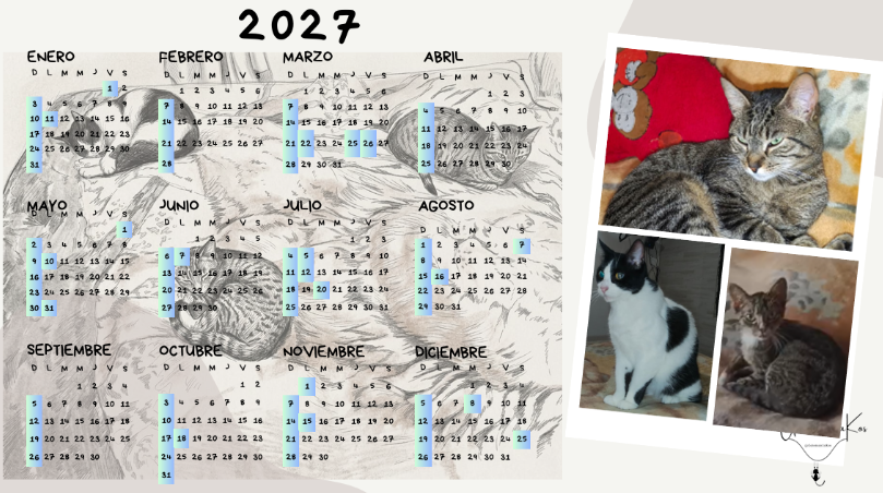 PERNONALIZADOS CALENDARIOS