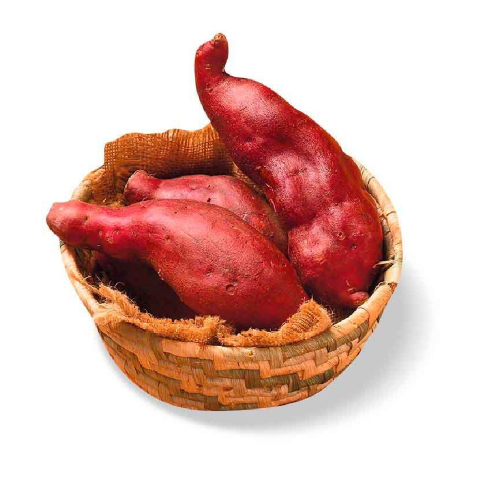 Boniato Criollo a Granel (Kg)