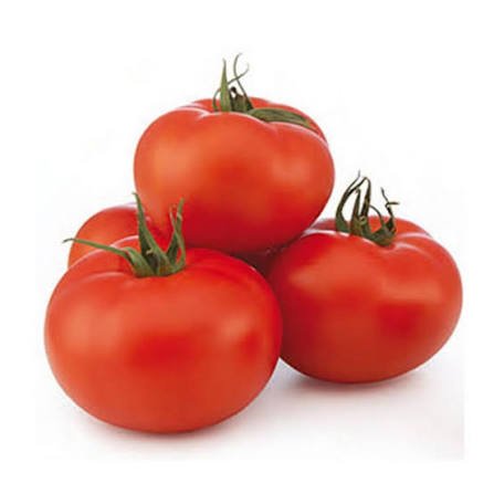Tomate Redondo Kg