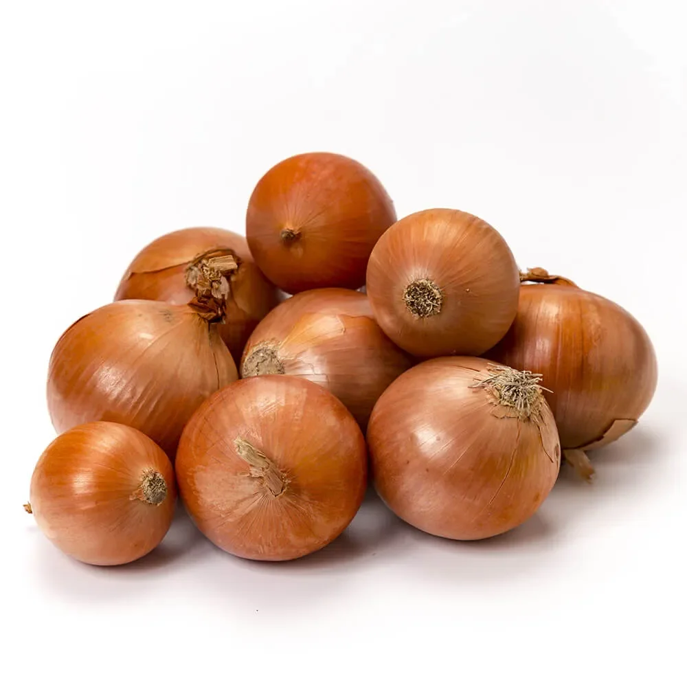 Cebolla Kg