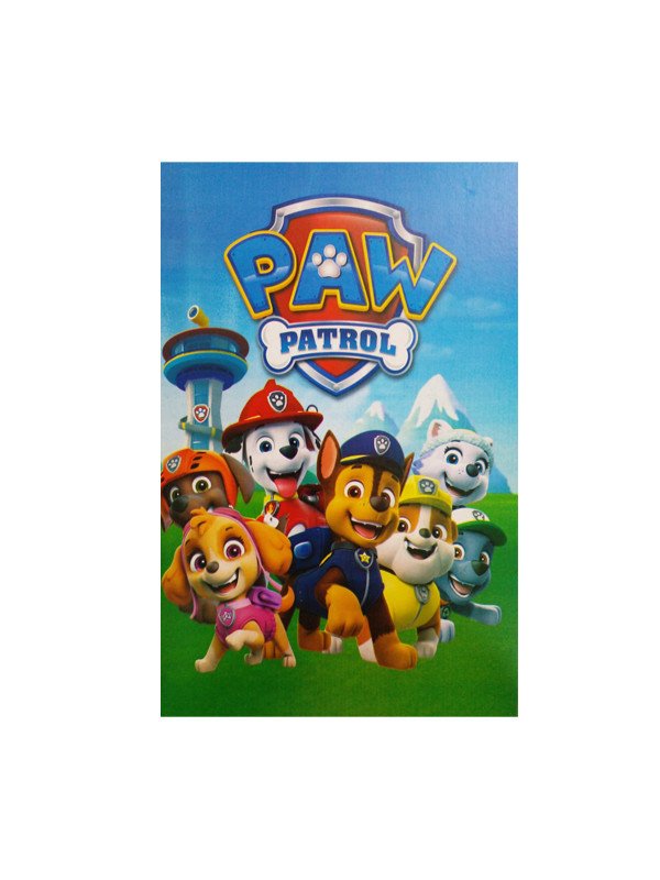 LIBRO PARA COLOREAR PAW PATROL