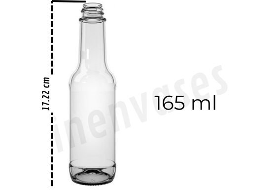 Salsa 165ml - R. 24