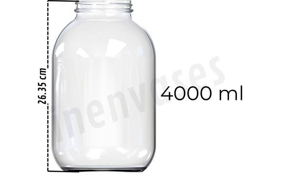 Mayonesa 4000ml - TT89