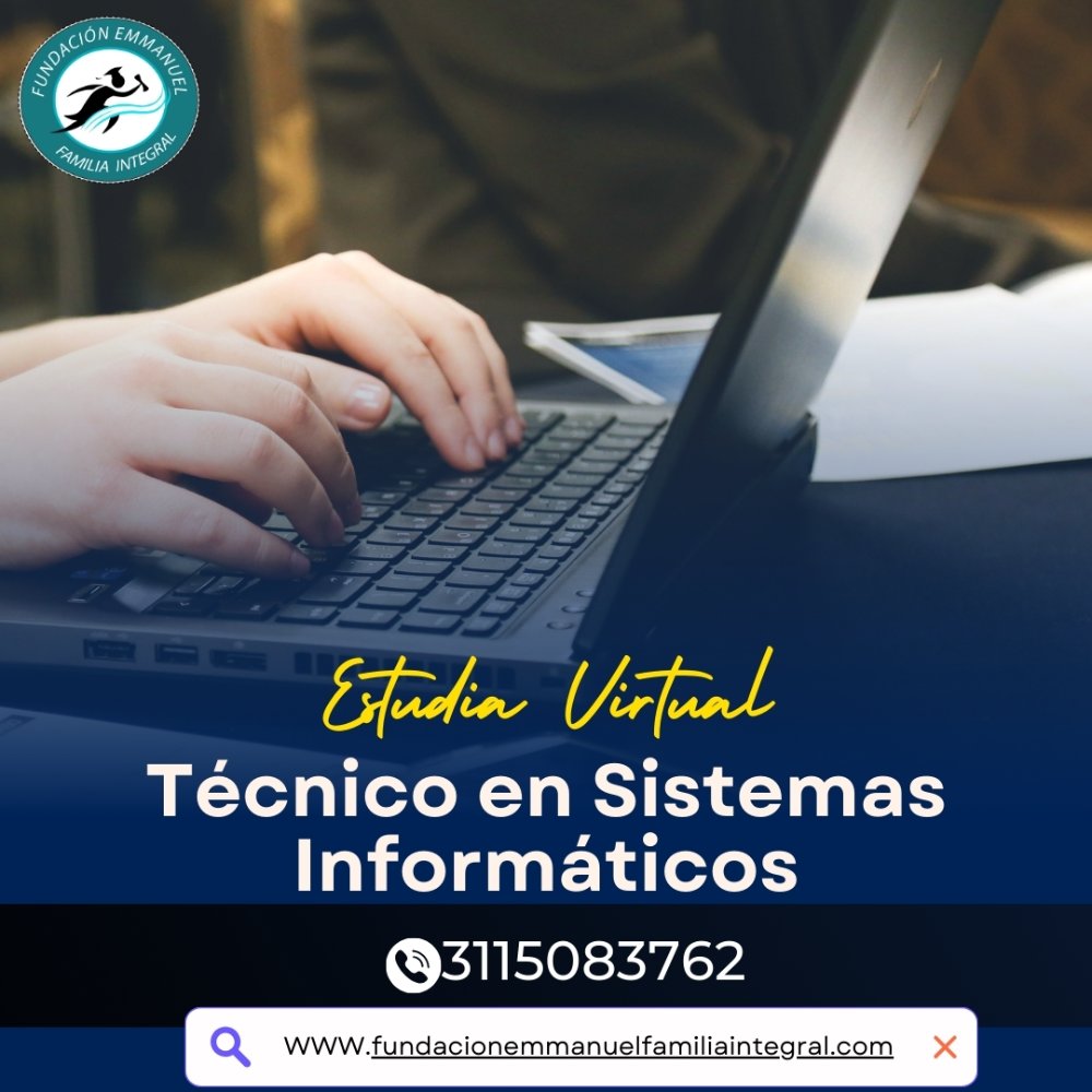 Técnico en Sistemas Informáticos