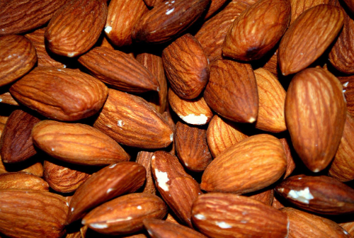 Semilla de almendra