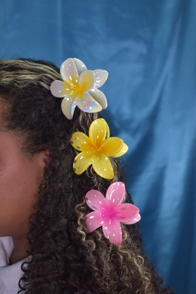 Gancho flor Hawaiana tradicional surtida