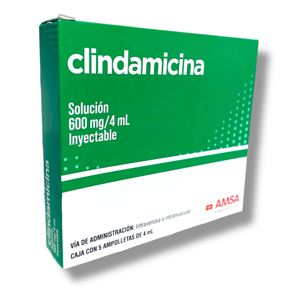 CLINDAMICINA 600MG/4ML SOL. INY