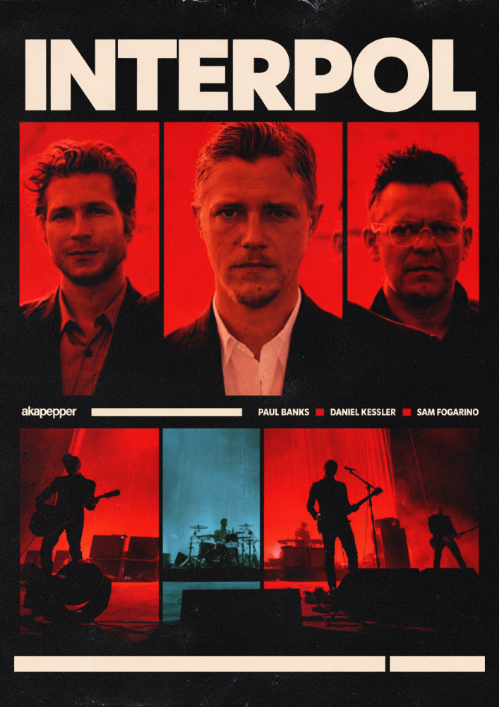 Poster INTERPOL integrantes