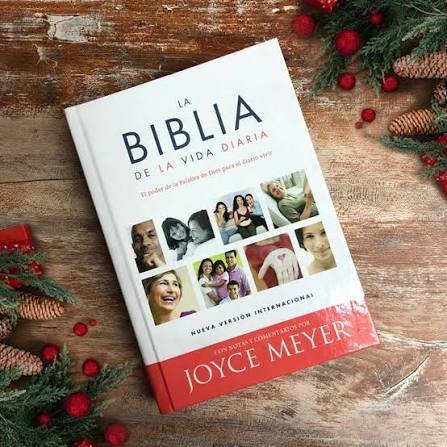 BIBLIA VIDA DIARIA NVI TD DM35