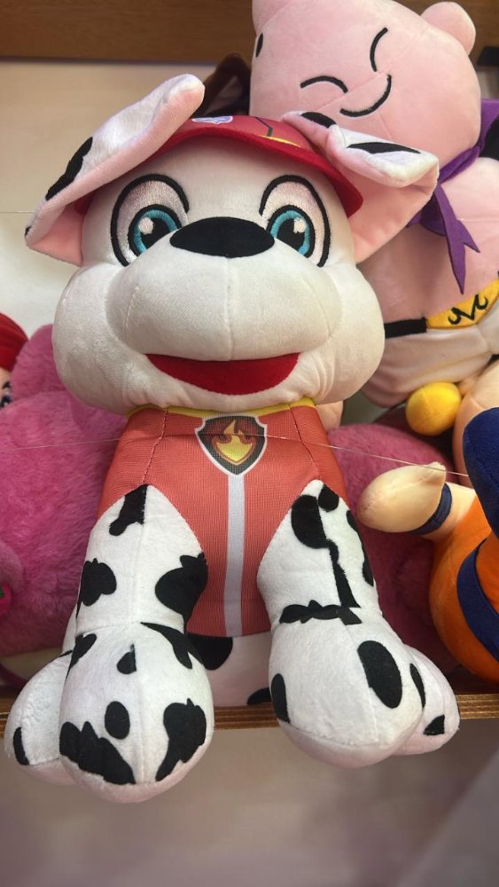 PATRULLA PAW PATROL