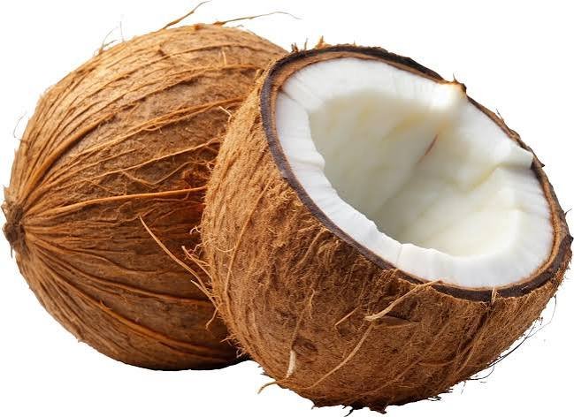 Cubito de Coco