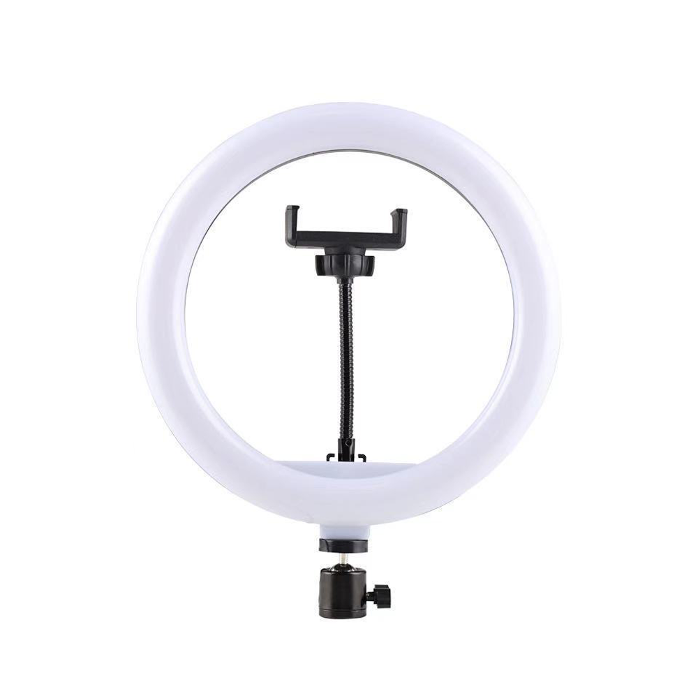 ARO DE LUZ FILL LIGHT 10plg – DX-260