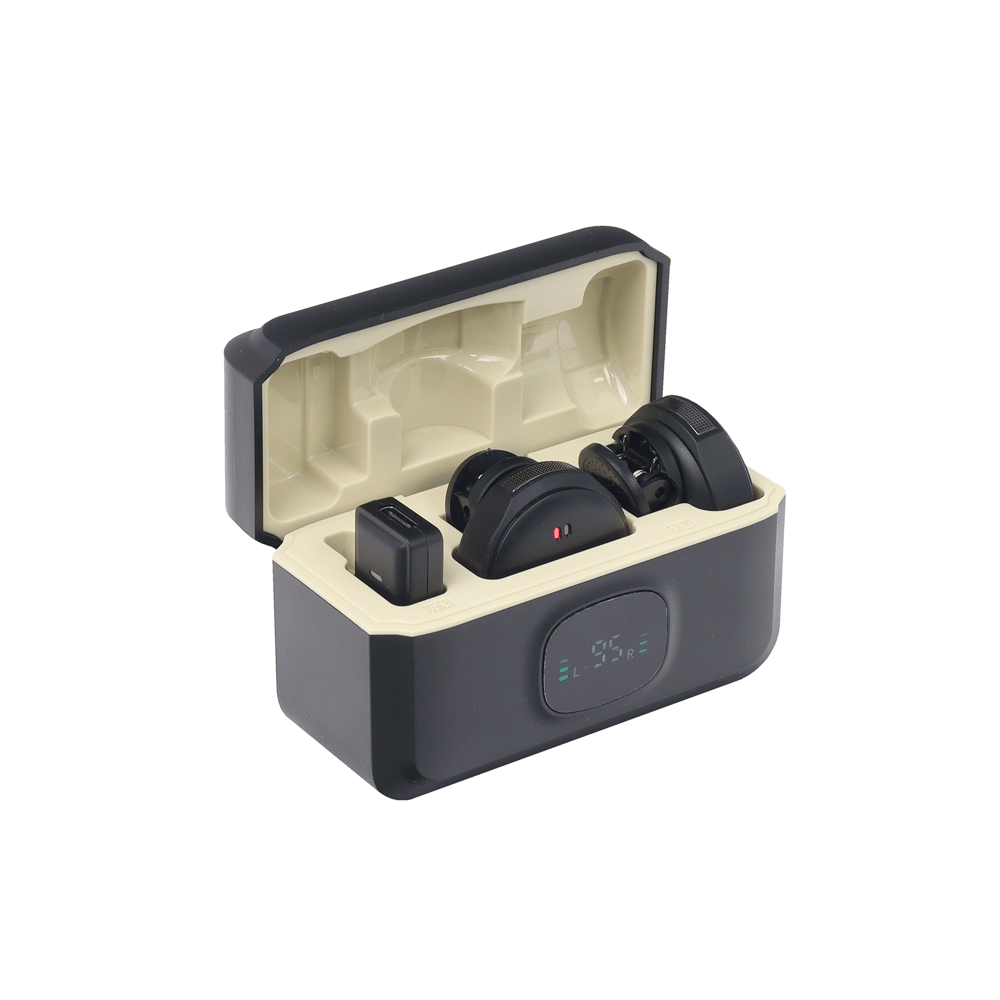 MICROFONOS TIPO C 2.4G X2 – F31-TC-2